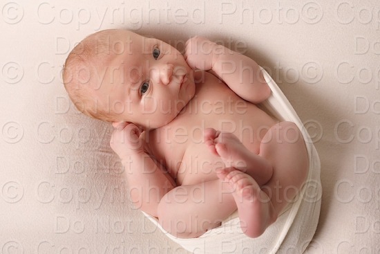 Driver Newborn