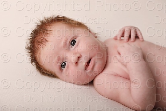 Newbold Newborn
