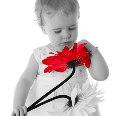 Black and White photo shoot with selected colur by Jayne Poole Barnstaple